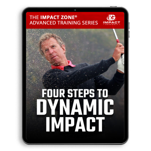4 Steps to Dynamic Impact Digital